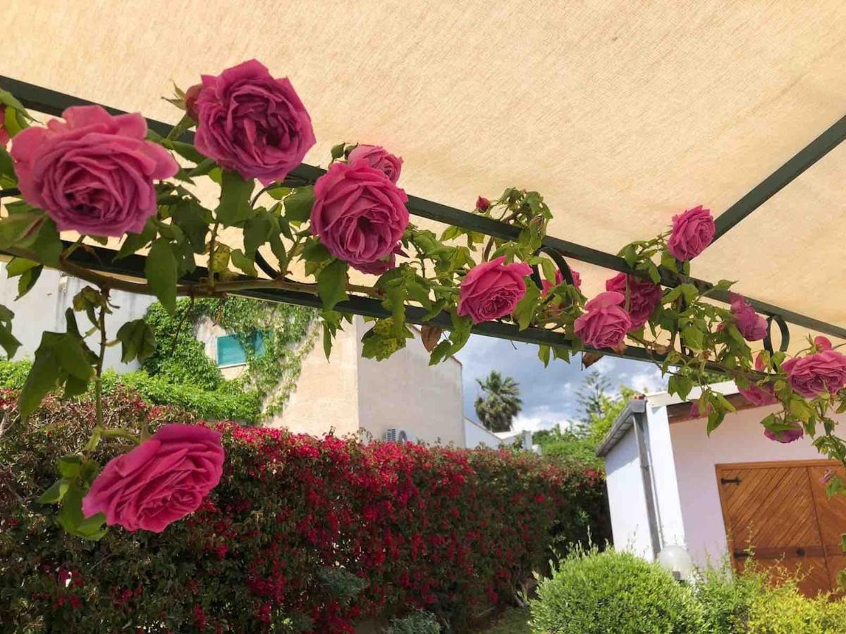 Le Tre Palme Villa Fontane Bianche Bagian luar foto