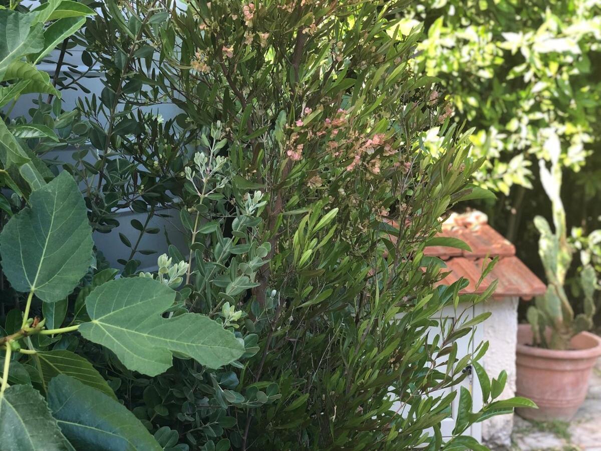 Le Tre Palme Villa Fontane Bianche Bagian luar foto