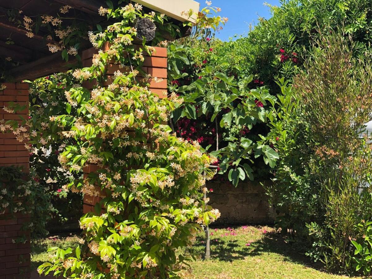 Le Tre Palme Villa Fontane Bianche Bagian luar foto