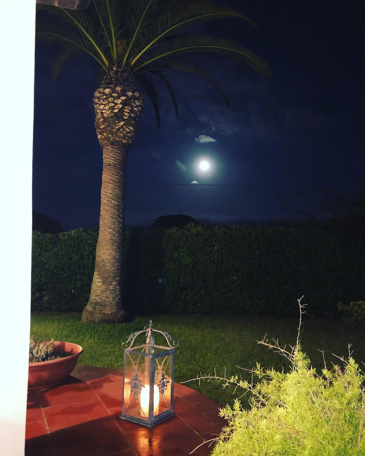 Le Tre Palme Villa Fontane Bianche Bagian luar foto