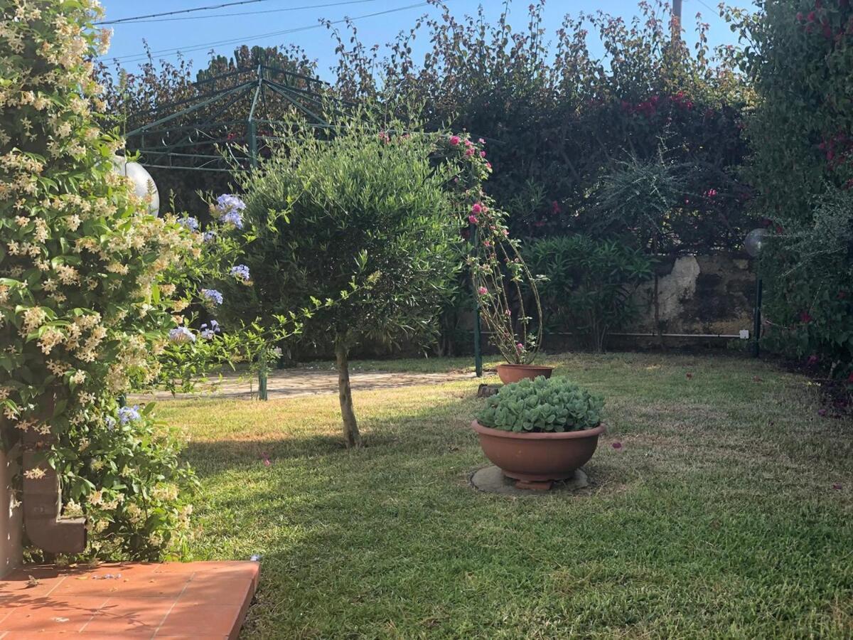 Le Tre Palme Villa Fontane Bianche Bagian luar foto