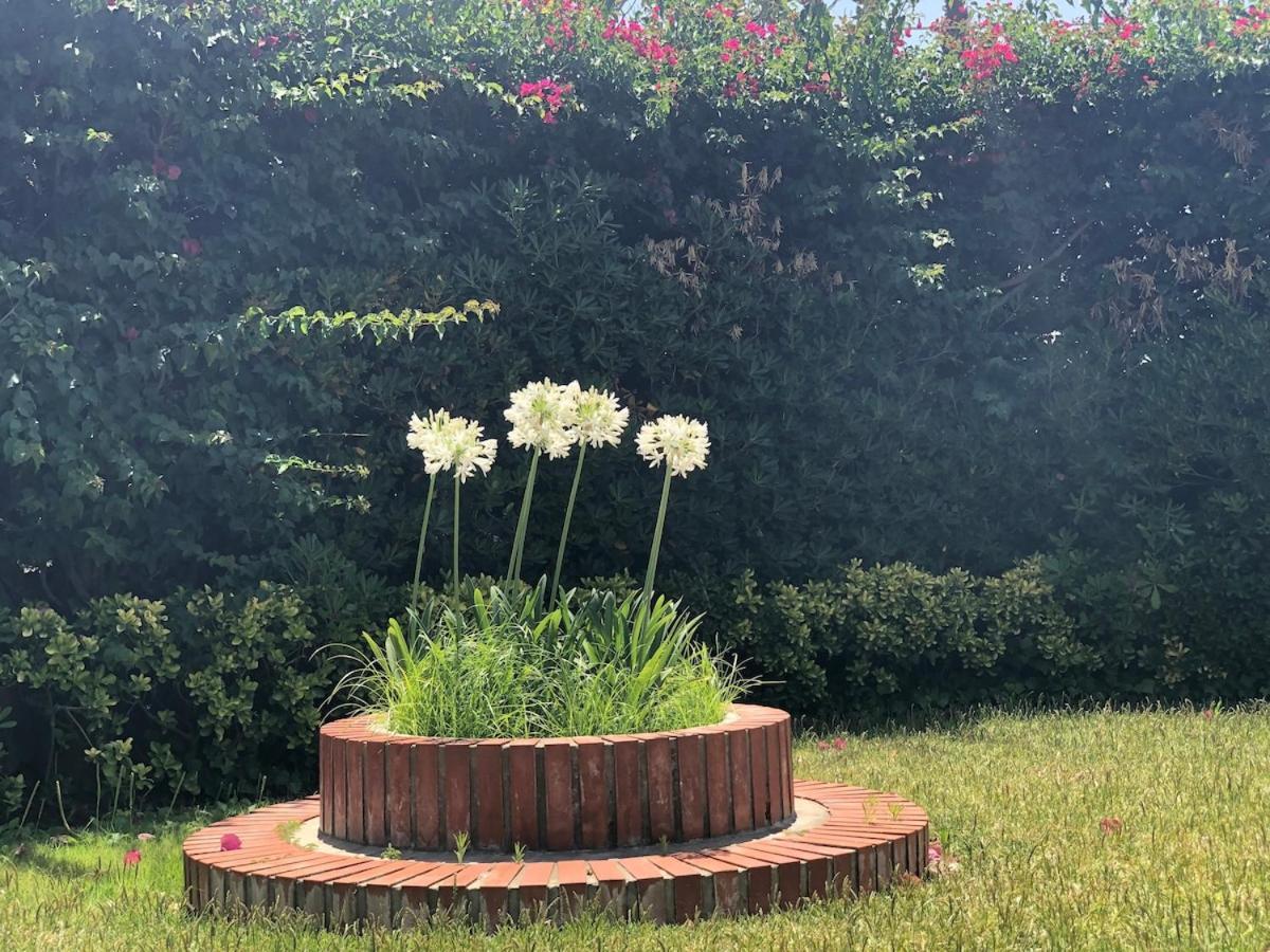 Le Tre Palme Villa Fontane Bianche Bagian luar foto