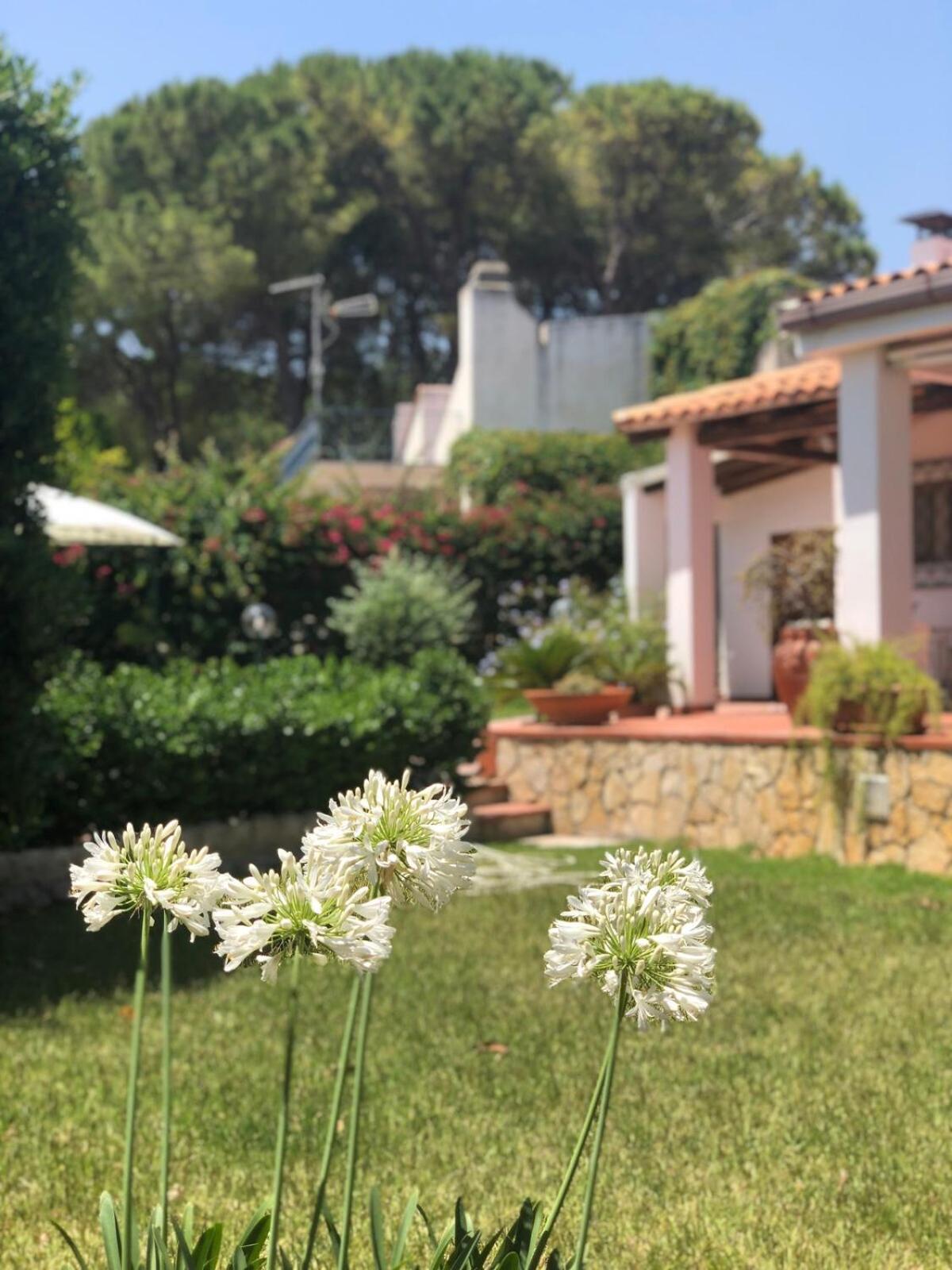 Le Tre Palme Villa Fontane Bianche Bagian luar foto